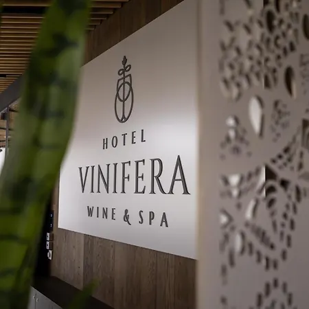 Vinifera Wine & 5 Stars Superior Hotel 5*