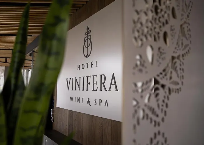Vinifera Wine & 5 Stars Superior Hotel 5*