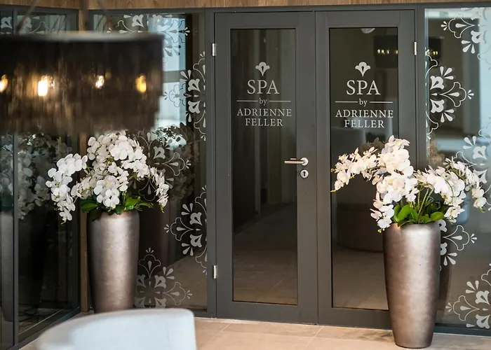 Vinifera Wine & 5 Stars Superior