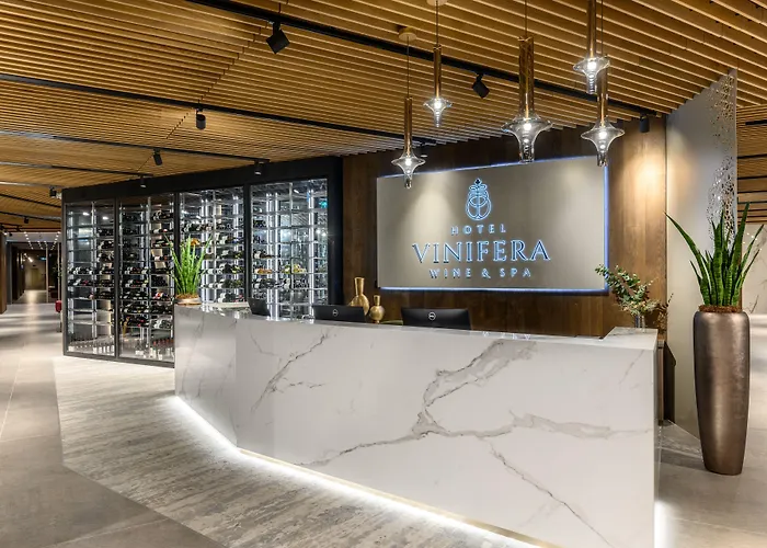 Vinifera Wine & 5 Stars Superior